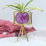 Agate Planter – Pink